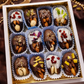 Chocolate Dipped Dates Box – Premium Saudi Dates (9 / 12 / 16 pcs)