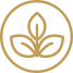 Premium Imported Ingredients